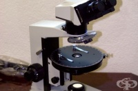 ���������� ������ ����� �� ������� ������ �� 80 �����������